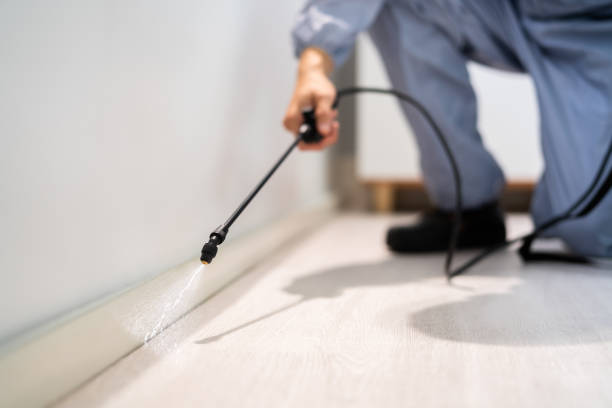 Certified termite inspector examining foundation in Elkton