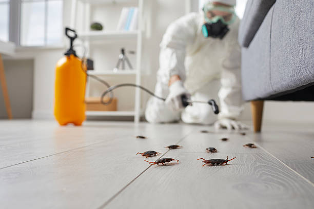 Commercial Rodent Management in Elkton
